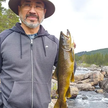 Hoyfjellsenter הובדן