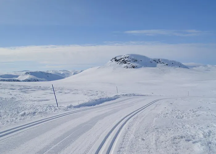 Ferienpark Hoyfjellsenter